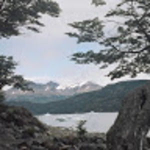 Meet your Posher, Lee